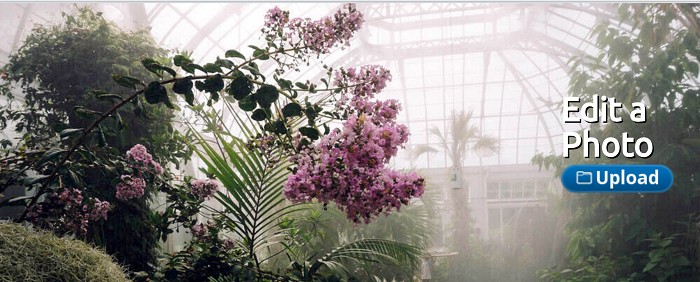 lunapic-background-remover