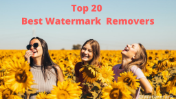 Top 20 Best Watermark Removers [ 2022 Selective]