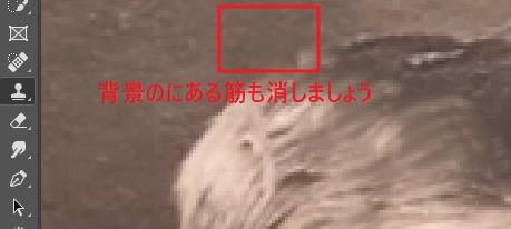 Photoshopで古い写真を復元する