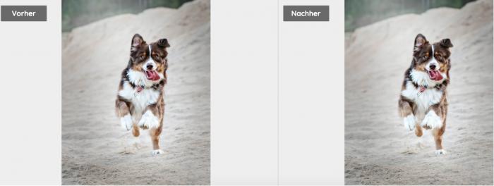 1-bild vergrößern ohne qualitätsverlust