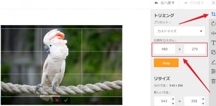 トリミングのサイズ