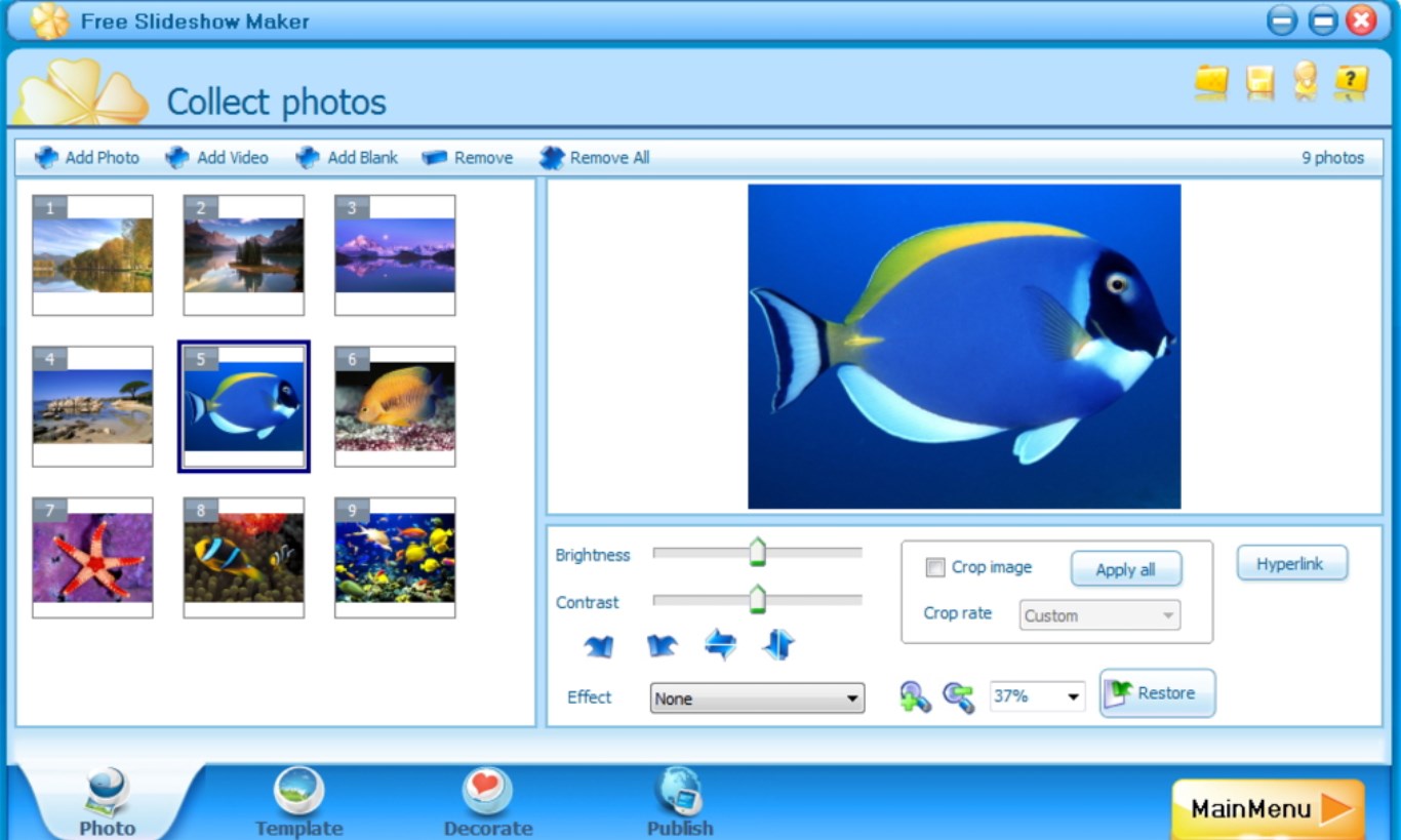 スライドショー フリー