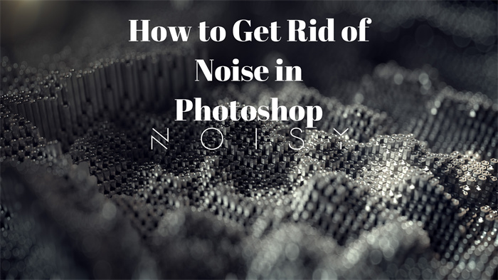 How to Get Rid of Noise in Photoshop - VanceAI