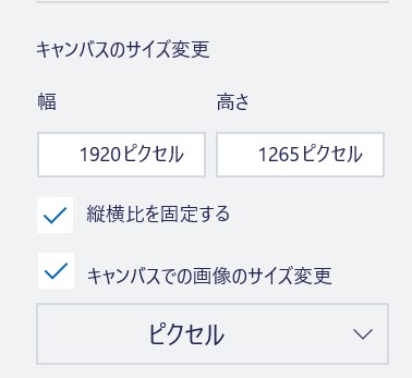 キャンパスー画像サイズ