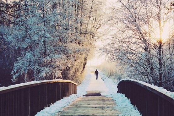 winter photo_snowy landscapes