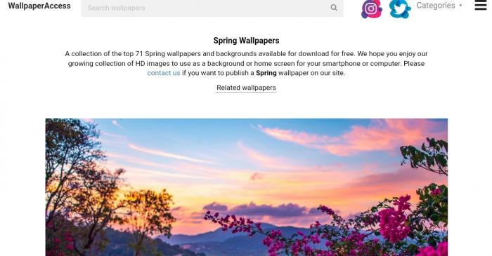 spring wallpaper from wallpaper access