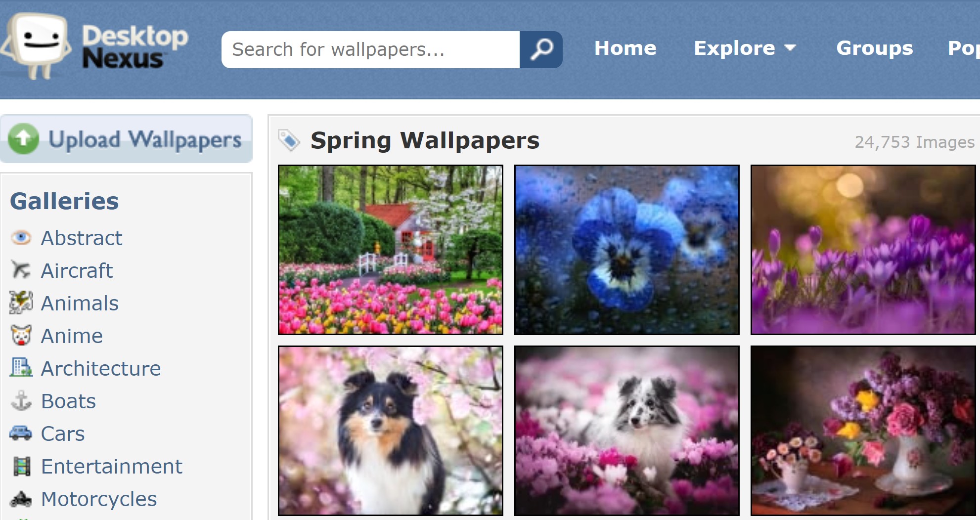 spring wallpaper from desktop nexus