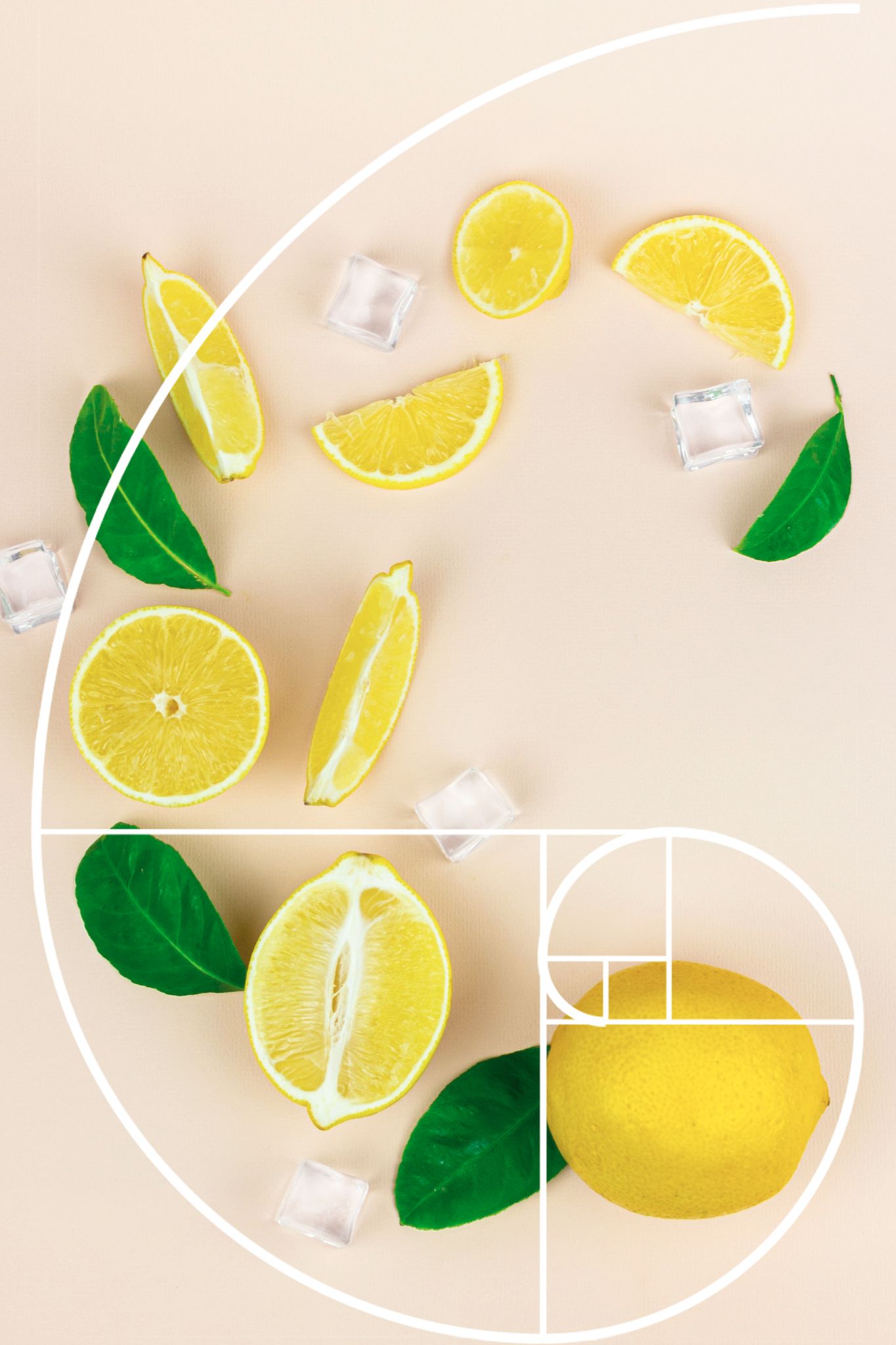 黄金比 黄金螺旋