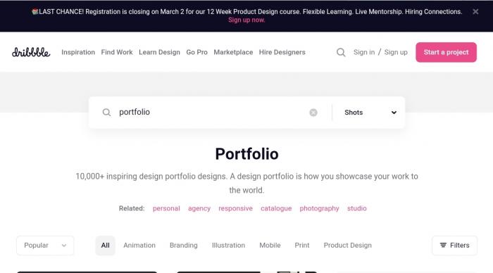 portfolio website_dribbble