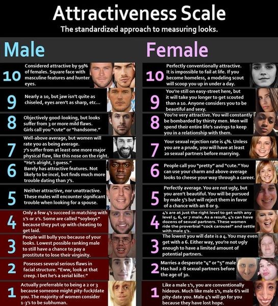 How To Do The Attractiveness Scale On Tiktokundefined