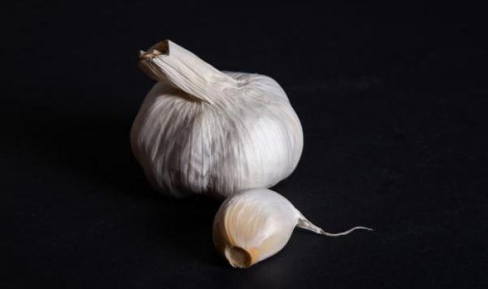 still life photography_garlic