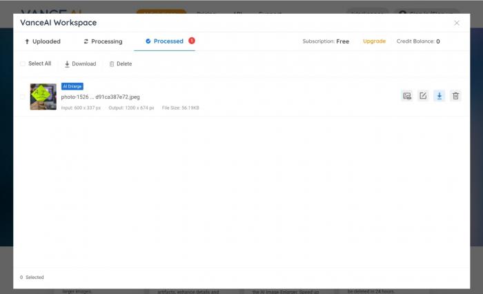 VanceAI Image Upscaler_step 2