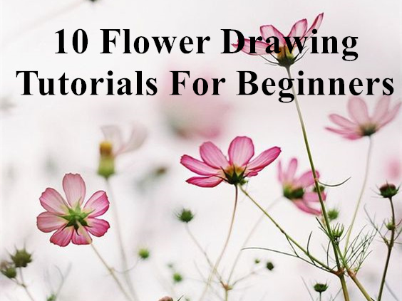 Easy Flowers Drawing, Learn Flowers Names & Drawing, Different Types of Flowers  Drawing and Coloring - YouTube