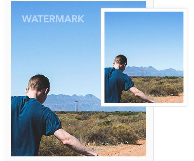 Apowersoft Online Watermark Remover