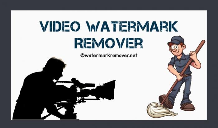Video Watermark Remover