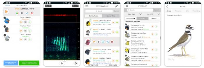 SongSleuth 野鳥 図鑑