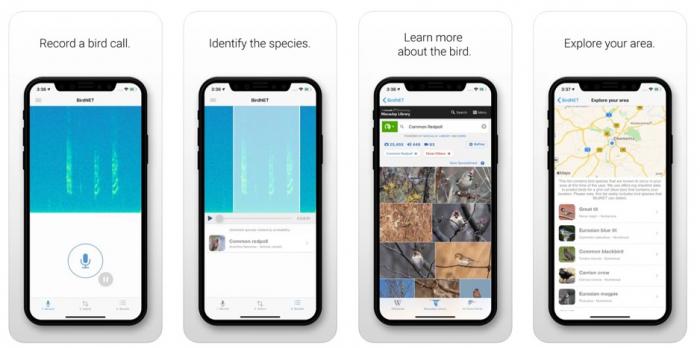 BirdNet 野鳥図鑑