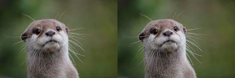 kakudaiAC-ビフォー・アフター