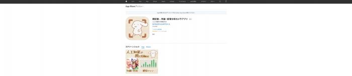 顔年齢診断サイト