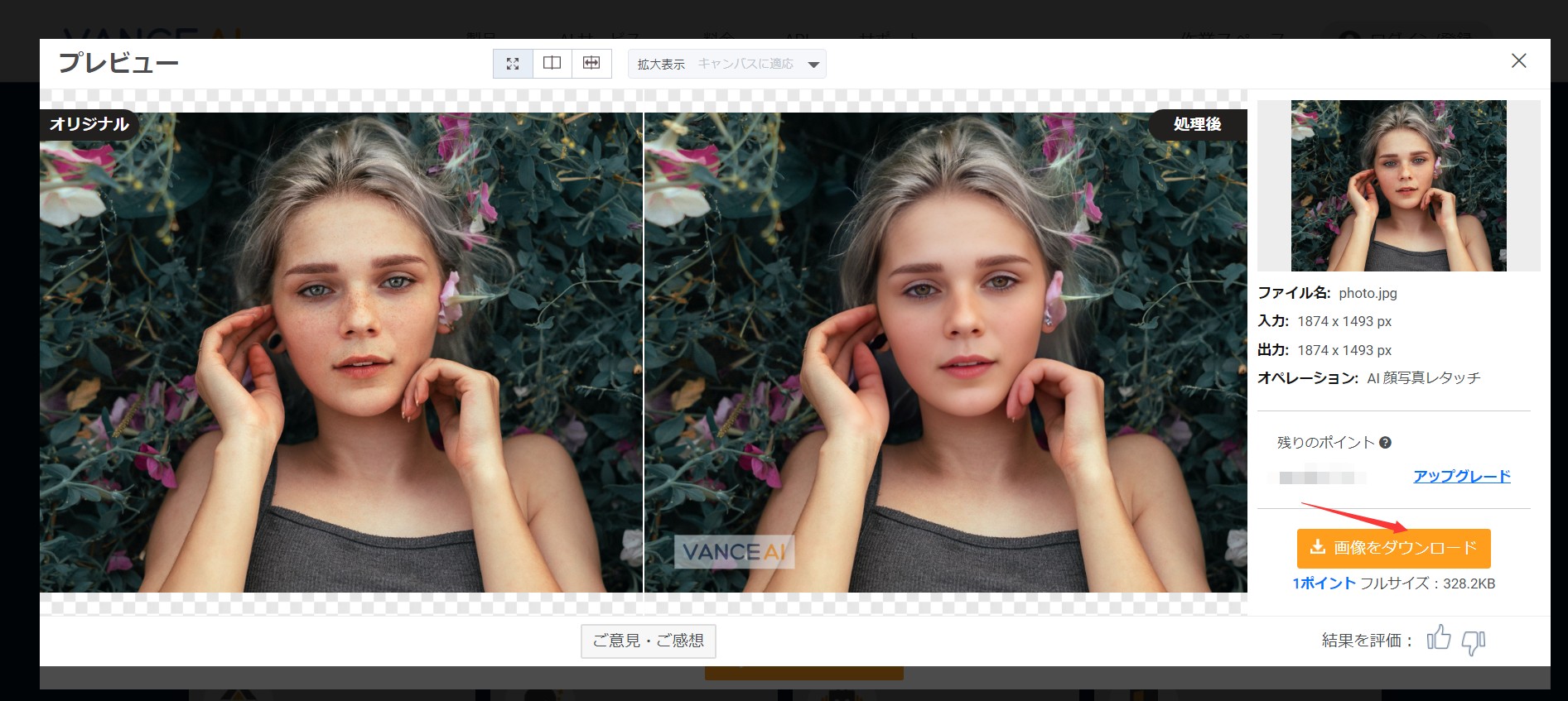 顔写真レタッチ VanceAI