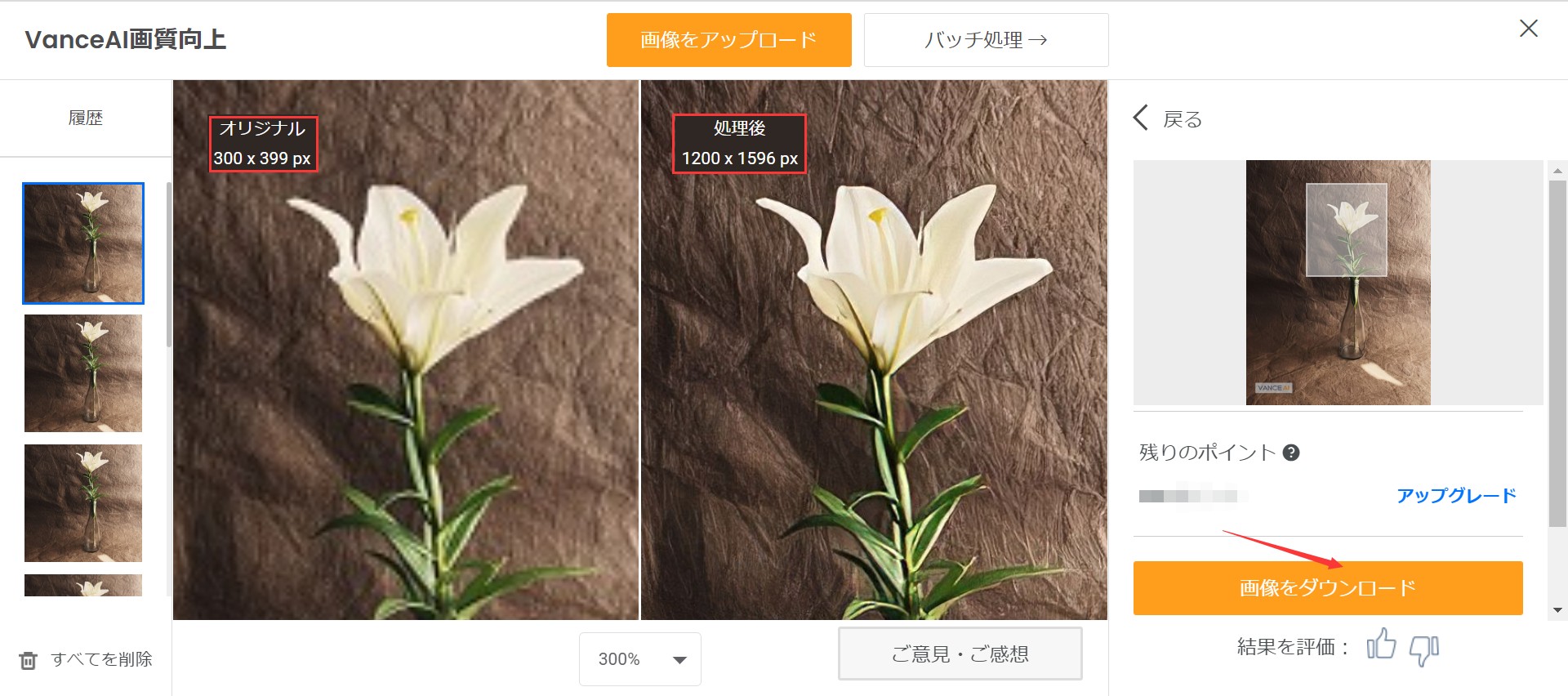美しい画像サイズ変更STEP3 VanceAI画像拡大