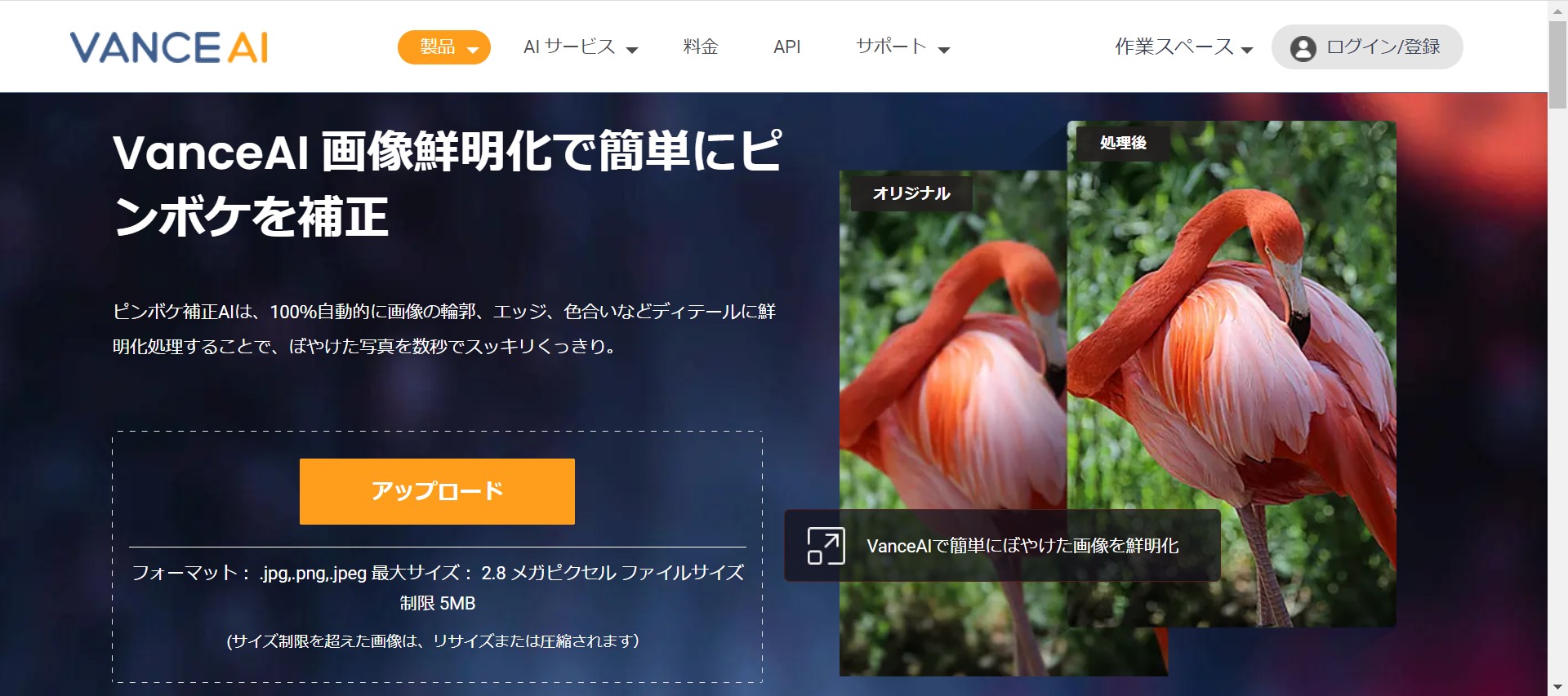マクロ撮影した画像を鮮明化するツール　VanceAI画像鮮明化