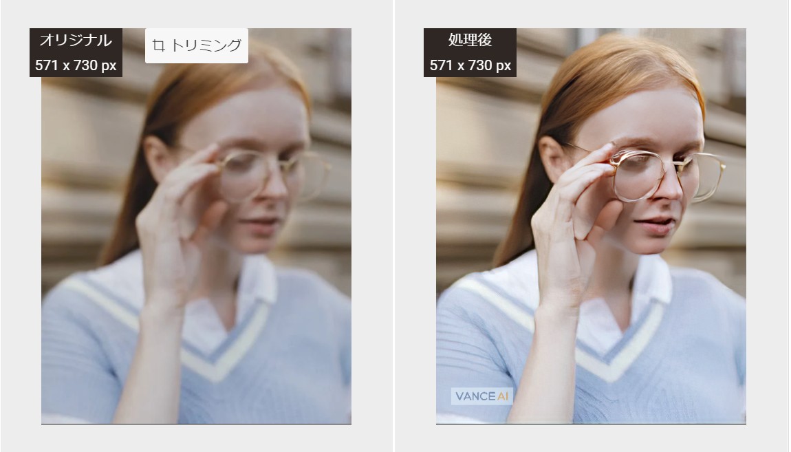 ぶれた画像を修正した効果図