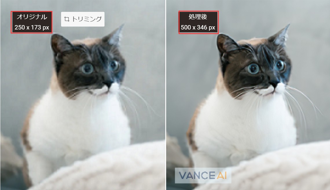 画像を修正した効果図　VanceAI画像拡大