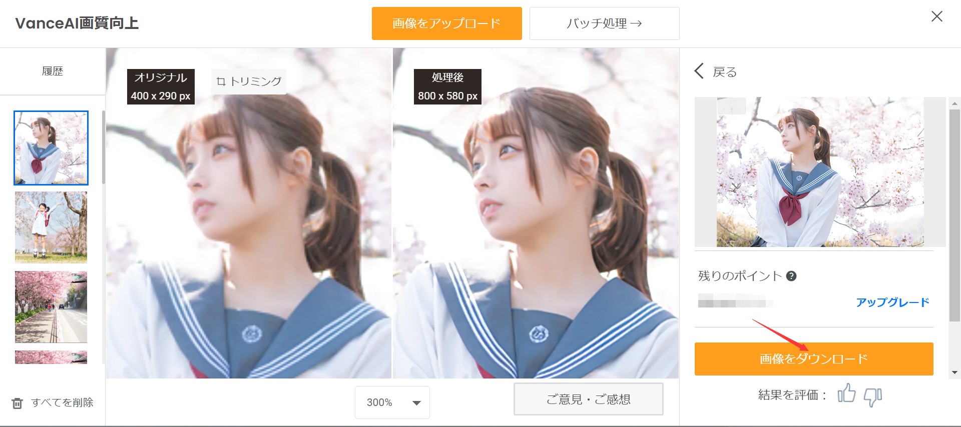 twice写真を高画質化するSTEP３　VanceAI画像拡大