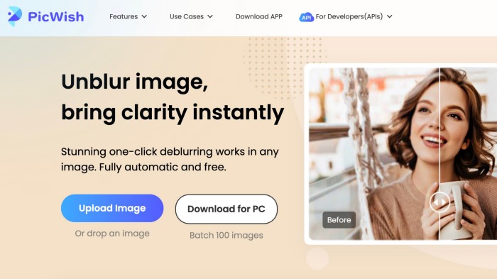 Vanceai Image Sharpener Ai Unblur Image To Get Tack Sharp Photos Vanceai Image Sharpener Ai Unblur Image To Get Tack Sharp Photos