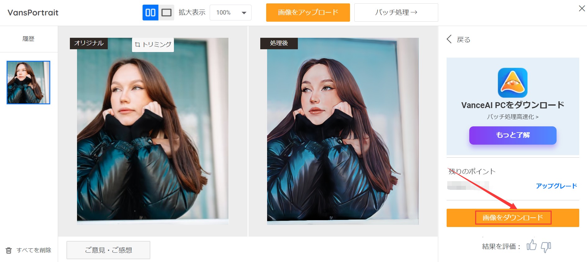 ステップ3:結果のダウンロード