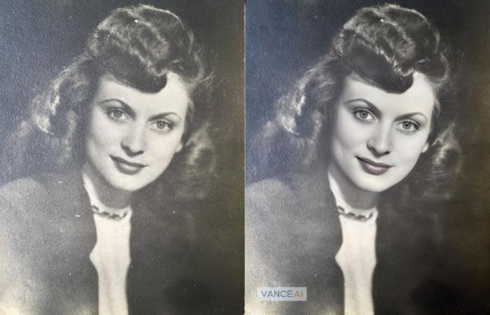 preview picture of VanceAI Image Restorer