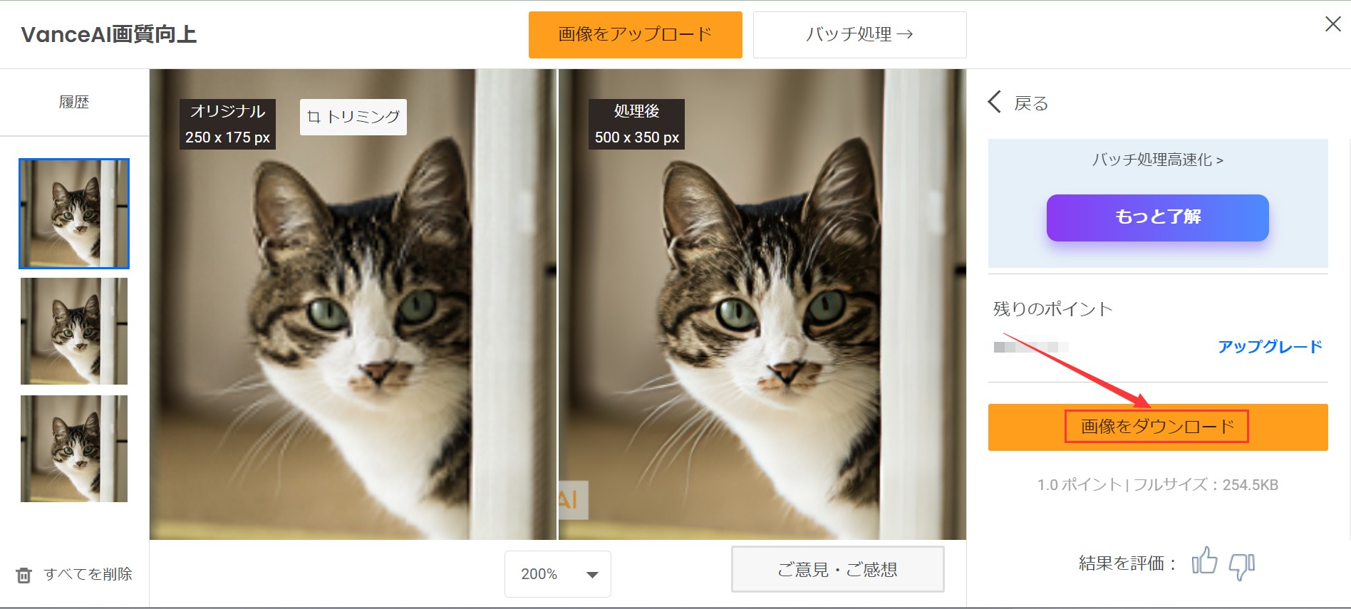 3. 画像をプレビューしてダウンロード