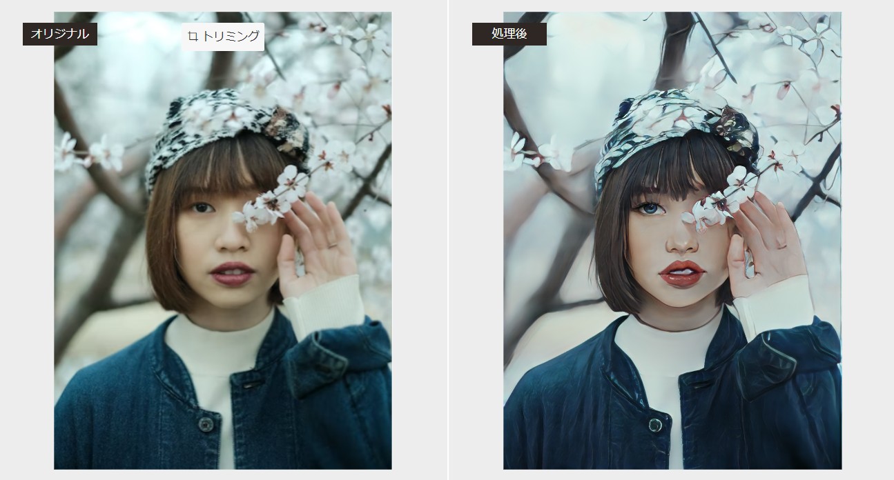 VanceAI写真イラスト化