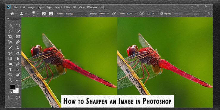 How-to-Sharpen-an-Image-in-Photoshop