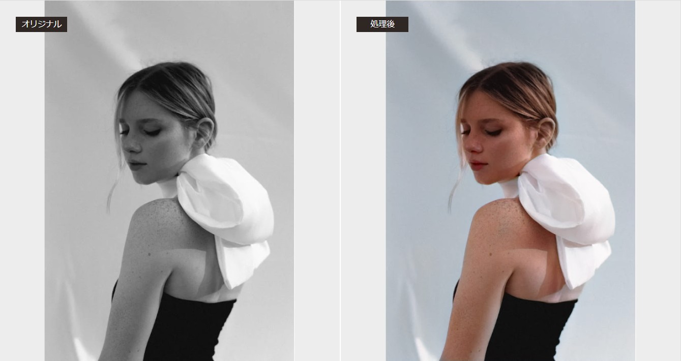 VanceAI白黒写真カラー化