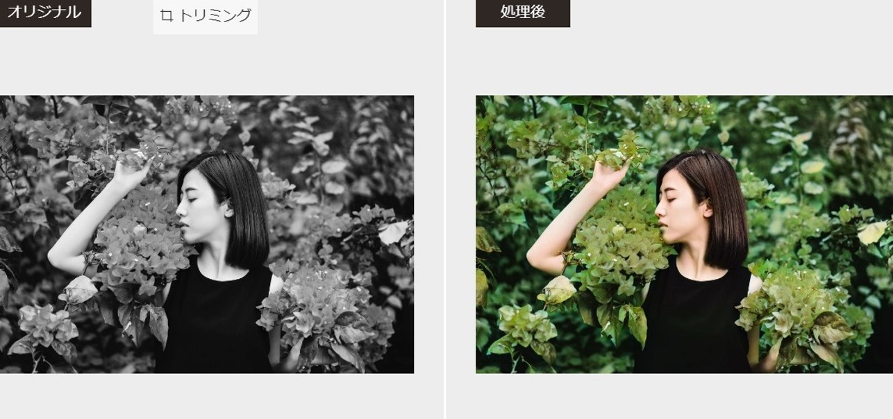 VanceAI白黒写真カラー化