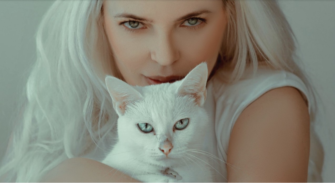 動物顔を診断するメリット