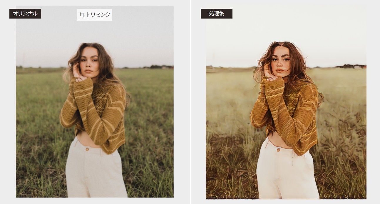 VanceAI写真イラスト化