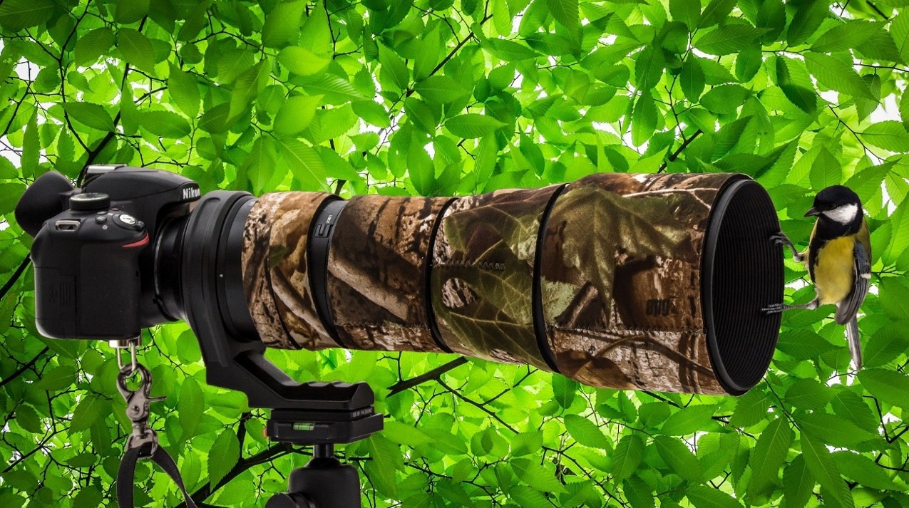 望遠レンズの選び方と使い方