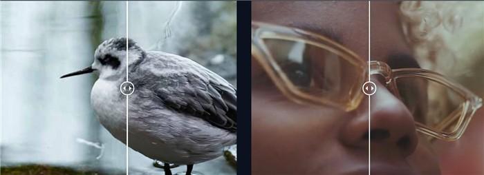 Topaz Effekte vor und nach der Videoverbesserung