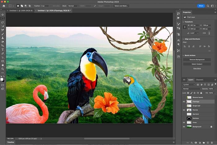 Bild des geöffneten Programms Photoshop und einem Bild verschiedener exotischer Vögel