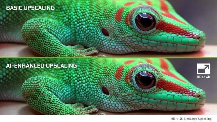 Bild einer grünen Echse, die erst mit normalen Upscaling und danach mit AI hochskaliert wurde