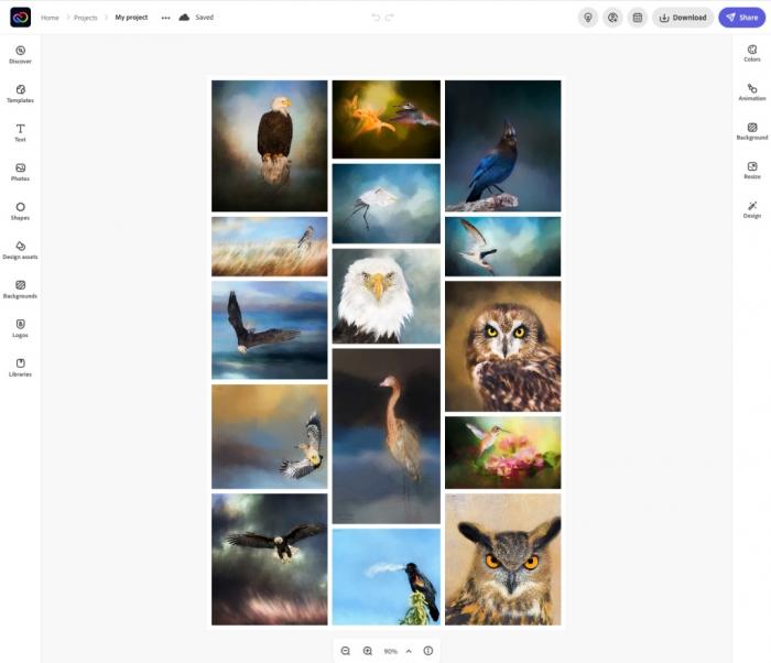 Benutzeroberfläche von Adobe Express beim Erstellen einer Tier-Bildcollage