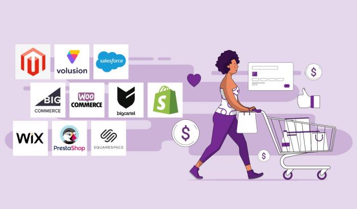 Grafik, die die wichtigsten Anbieter im E-Commerce sowie eine Frau mit virtuellem Einkaufswagen anzeigt