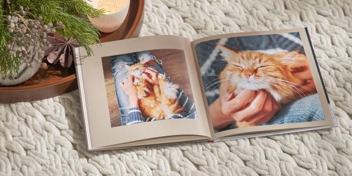 ein Haustier-Fotobuch vom Anbieter Cewe