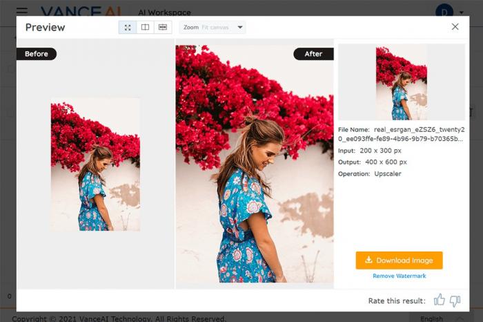 Bearbeitungsoberfläche vom VanceAI Image Upscaler