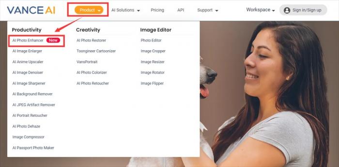 Die Startseite von Vanceai.com