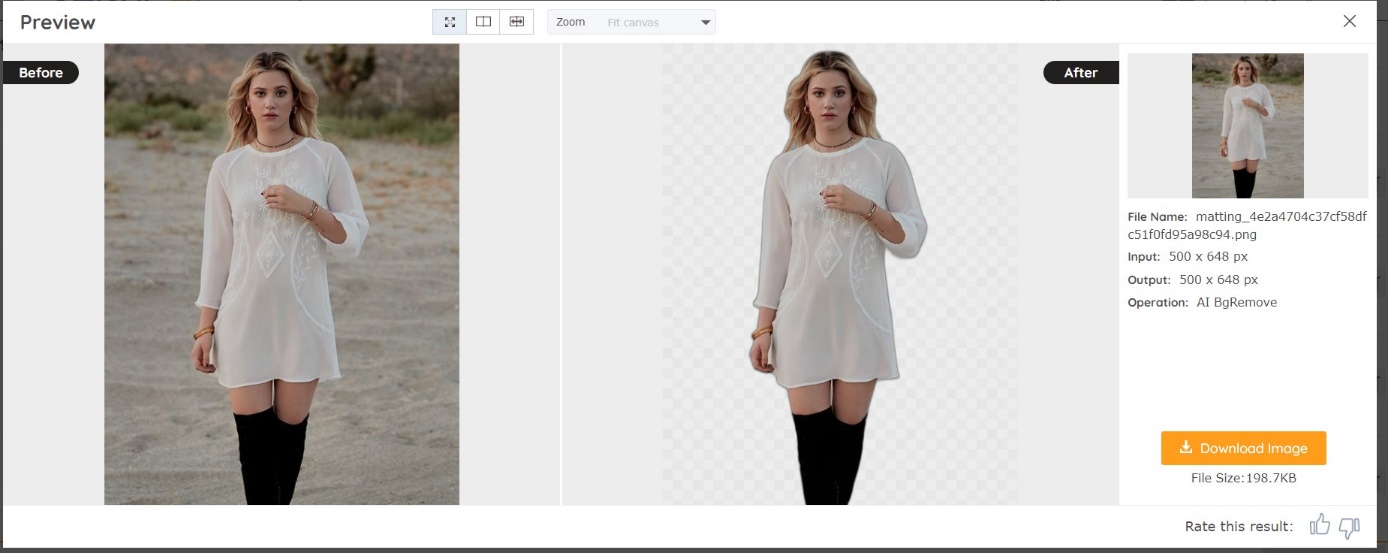 BGremover Background Remover vorher - nacher