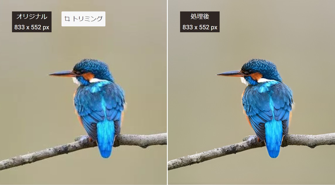 ぼやけた鳥写真を鮮明にした
